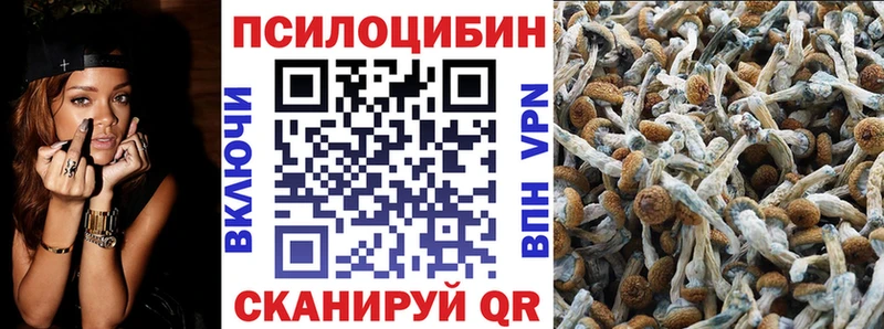 Галлюциногенные грибы Psilocybe Чебоксары