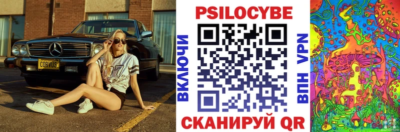 купить наркотики цена  Чебоксары  Галлюциногенные грибы Psilocybe 