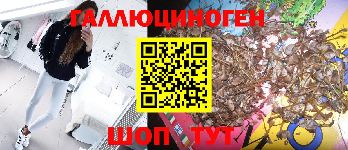 Галлюциногенные грибы мухоморы  Вход с VPN  Чебоксары 